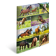 Eine Collage mit verschiedenen Pferden in unterschiedlichen Posen und Umgebungen, darunter Fohlen, reitende Pferde und grüne Wiesen.
