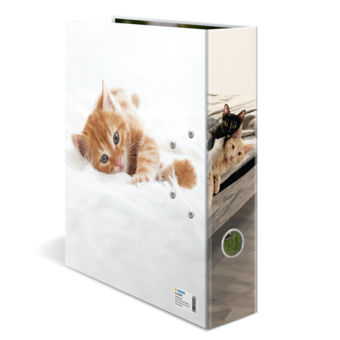 A folder with a picture of two cats, one orange and one black, lying on a white background.