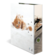 A folder with a picture of two cats, one orange and one black, lying on a white background.