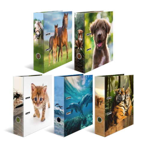 Binders with animal motifs: horses, a puppy, a kitten, dolphins, and tigers. Colorful designs on white and blue binders.