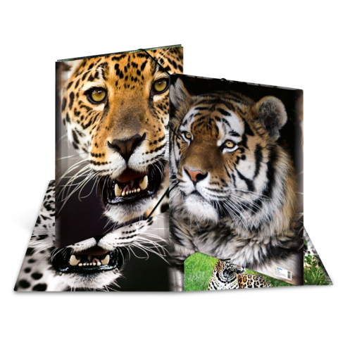 Zwei Tigerköpfe, einer mit geflecktem Fell und der andere mit gestreiftem Fell, auf einem aufgeschlagenen Buch.