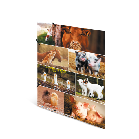 Eine Collage mit verschiedenen Tieren: Kühe, Schweine, Pferde, Enten und Ziegen in ländlicher Umgebung.