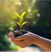 The translation of "Pflanze in Hand Kachel" is "Plant in Hand Tile." However, this phrase seems a bit unclear or out of context. If it refers to a specific concept or idiom, please provide additional context for a more accurate translation.