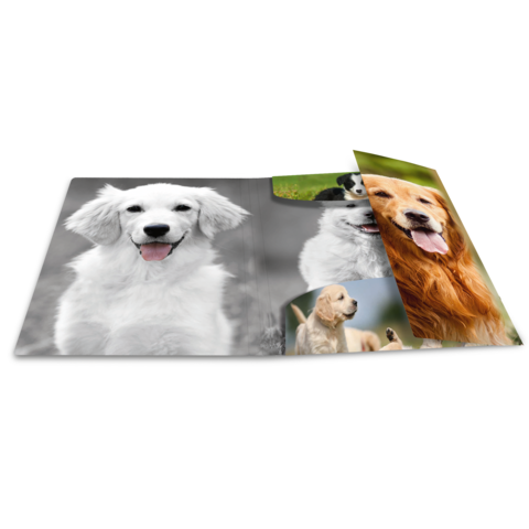 Ein offenes Fotobuch mit verschiedenen Hundefotos, darunter ein lächelnder Golden Retriever und andere Rassen in unterschiedlichen Posen.