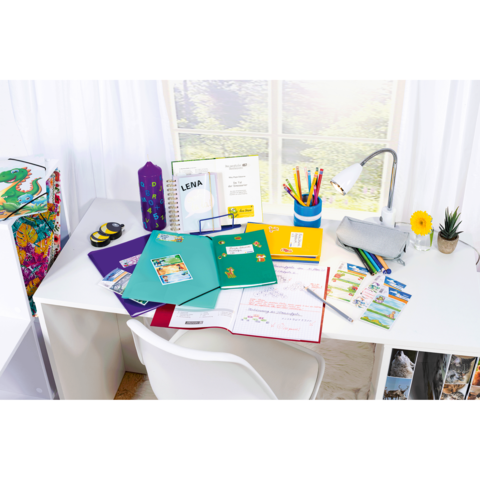 Ein Schreibtisch mit bunten Ordnern, Schreibmaterialien, einem Lampenlicht und einer kleinen Blume. Im Hintergrund sind Fenster und ein dekorativer Ordner sichtbar.