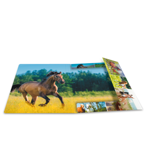 Ein aufgeschlagenes Fotobuch mit Bildern von einem galoppierenden Pferd in einer Wiese und weiteren kleineren Fotos von Pferden.