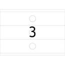 Blank template for Word A4 Landscape format