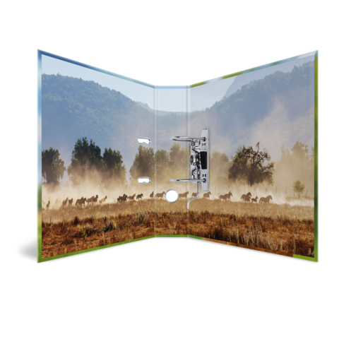 An open page of a book reveals a landscape with a herd of wild animals running across a dusty plain near some mountains.