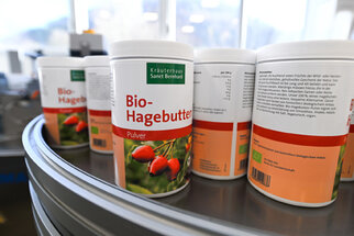 Cans of organic rosehip powder are on a conveyor belt, labelled with product information and a picture of rosehips.