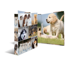 HERMA ring binder
