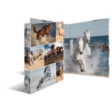 HERMA ring binder