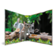 Zwei Kaninchen stehen auf einer Wiese, umgeben von Holzstücken und grünem Gras, mit einem unscharfen Hintergrund aus Bäumen.