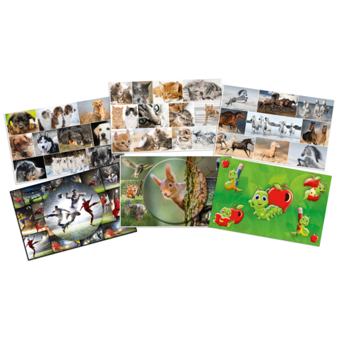 Eine Sammlung von Bildern, die verschiedene Tiere wie Hunde, Katzen und einen Hasen zeigen, sowie bunte Illustrationen von Insekten und Pflanzen.