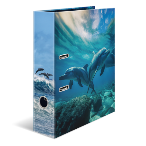 A folder with a colorful design featuring dolphins in the water, surrounded by waves and a clear sky.