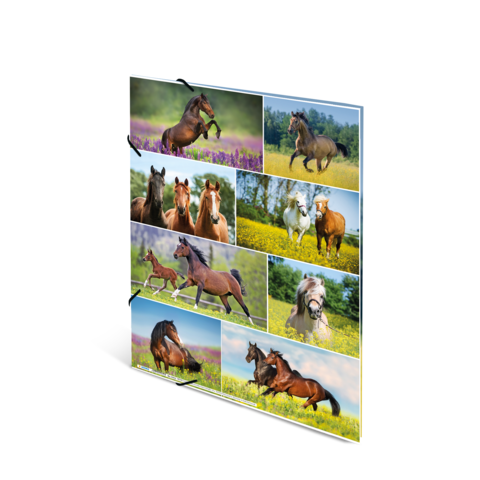 Eine Collage mit verschiedenen Pferden in unterschiedlichen Posen und Umgebungen, darunter springende, laufende und ruhende Tiere.