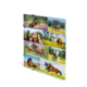 Eine Collage mit verschiedenen Pferden in unterschiedlichen Posen und Umgebungen, darunter springende, laufende und ruhende Tiere.