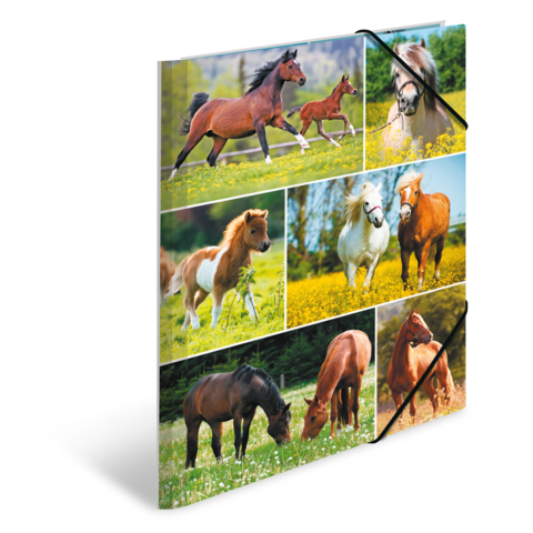 Eine Sammlung von Pferden in verschiedenen Posen, darunter Fohlen, Ponys und erwachsene Pferde, die auf einer Wiese grasen oder laufen.