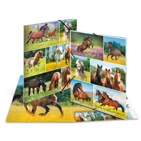 Eine Sammlung von Fotos, die verschiedene Pferde in unterschiedlichen Posen und Umgebungen zeigen, darunter Wiesen und Blumenfelder.