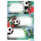Three soccer cards featuring players in action, showcasing goals and space for notes. Graphic elements in red and green.