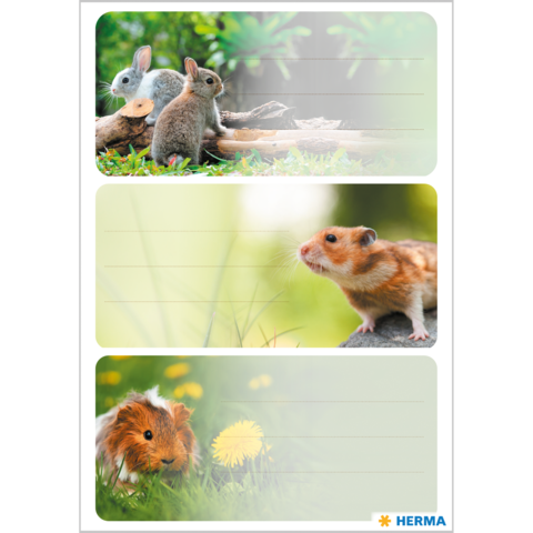 Drei Abschnitte mit niedlichen Tieren: zwei Kaninchen, ein Hamster und ein Meerschweinchen, umgeben von Gras und Blumen.